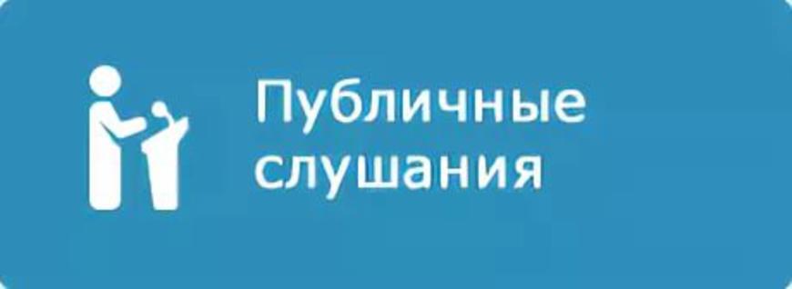 Публичные слушания по проекту решения  Совета народных депутатов Степнянского Сельского поселения Ольховатского муниципального района Воронежской области «Об исполнении бюджета  Степнянского сельского поселения за 2023 год.