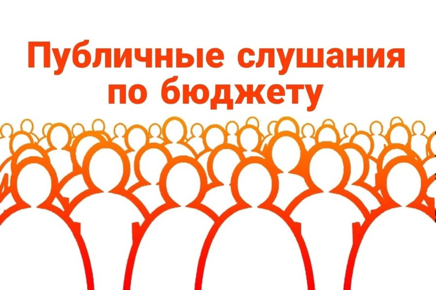 Публичные слушания по проекту решения  Совета народных депутатов Степнянского Сельского поселения Ольховатского муниципального района Воронежской области О бюджете  Степнянского сельского поселения Ольховатского  муниципального района Воронежской области.